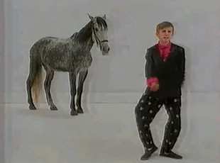 zyyx - #smiesznypiesek #smiesznykonik #heheszki 

Tak sobie tańczę a koń za mno