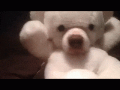 Koteczeg - #humorobrazkowy #smiesznypiesek #zwierzaczki