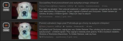 A.....K - Jeden pies, dwie główne ( ͡° ͜ʖ ͡°)

SPOILER