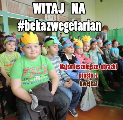 chapeaunoir - Podsumujmy co tu się dzieje na #bekazwegetarian Czyli wegeterroryzm (o ...