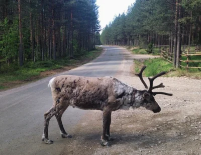 mordzia - 125 172 - 64 = 125 008



Wolne od pracy więc w końcu dłuższa trasa. Prawie...