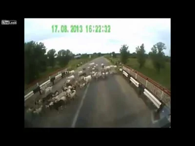 TheLaw - Szkoda, że czegoś takiego nie ma w Goat Simulator
#koza #rosja #wtf #hehesz...