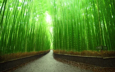 Zdejm_Kapelusz - Arashiyama w Kioto :)
Informacja dzięki @epi 

#fotografia #earth...