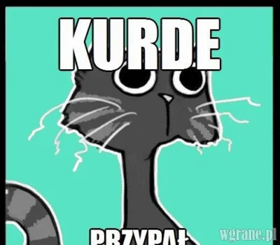 WenerycznaPrzygodaaa - Ten uczuć, kiedy jesteś u różowego w domu, a nawpieprzałeś się...