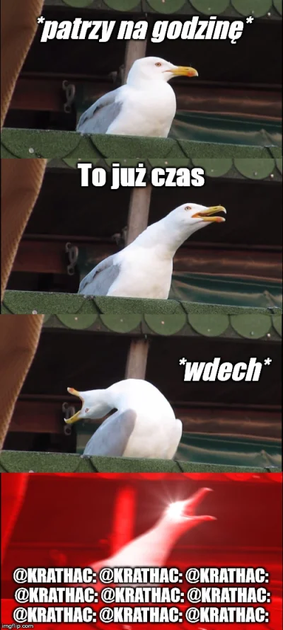 e.....a - @Zearel wracaj kurrrrła bo nie chce mi sie wołać ciągle @Krathac'a