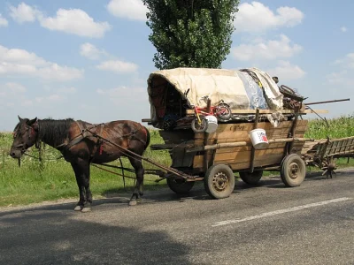 zoombie - @titus1: Rzeczona samochoda .... silnika szkoda ...