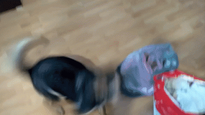 KornixPL - #odeusz żyje i ma się dobrze. Co go naprawiło?
Telefon. Do Różowej zadzwo...