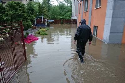 grishko - 23 maja 2019, Bielsko-Biała i powiat bielski - Minionej doby bielscy straża...