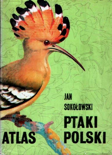 englarin - jak byłam mała to lubiłam oglądać atlas "Ptaki Polski", na okładce był dud...