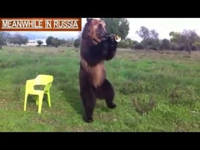 U.....e - @6502:w Rosji niedzwiedzie to jak u nas psy sa