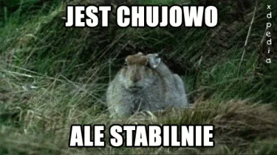 pawel_je - Co ja robię ze swoim życiem..