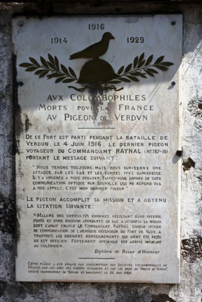 myrmekochoria - Historia gołębia z fortu Vaux ( fotografia: tablica poświęcona pamięc...