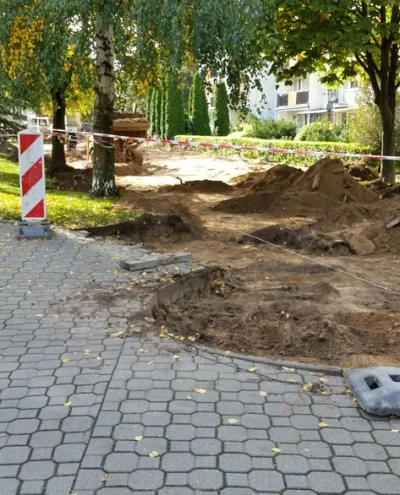 b.....0 - Brzózki Klony rosną na parkingach a spółdzielnie oraz miasta boją się wycin...