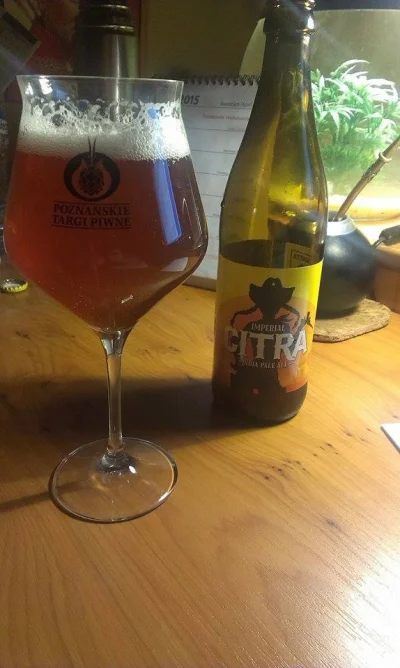 THEMID - Imperial Citra browar Birbant


#piwo #craftbeer #imperialIPA