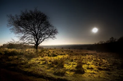 mektoncjusz - Ashdown Forest - Zachód słońca - część południowa
#fotografia #nikon #...