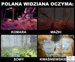 f.....k - @polwes: Każdy ma jakieś widoki... ( ͡º ͜ʖ͡º)