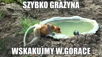 iamtehwin - @dziki: Będą gorące ( ͡° ͜ʖ ͡°)