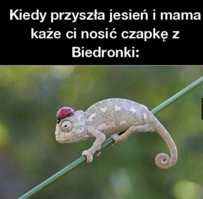 bomboor - #humorobrazkowy #heheszki #biedronka