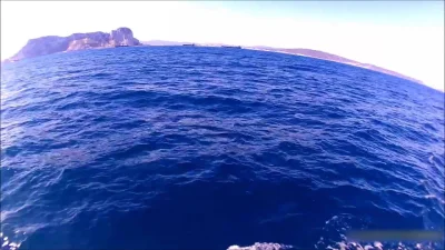 reddin - Wspomnienie spotkania mojego i @martinez98 z delfinami na Śródziemnym. 
Nie...