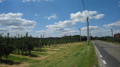 Jerzu - 130814 - 126 = 130688

Na południe pośród sadów przez Drwalew, Coniew, Królew...