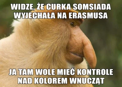 Adriian321 - #malpapolak #polak #nosacz #nosaczsundajski #mem #heheszki #humorobrazko...
