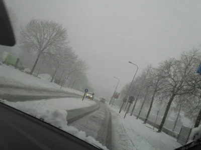 Berardus - Od 5 lat pierwszy taki opad sniegu w holandii, jednak nie tylko polscy dro...