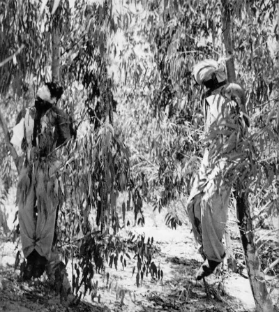 fidelxxx - Izrael w 1947:


 Two British soldiers executed by the Jewish terrorist or...