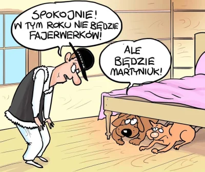 djtartini1 - #fajerwerki #sylwester #humorobrazkowy