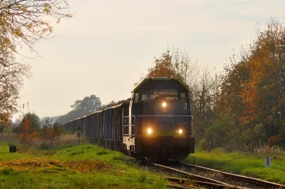 choochoomotherfucker - Od kilku dni jest piękna pogoda. Trwa również kampania buracza...