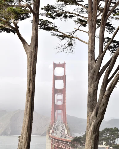 Zdejm_Kapelusz - Most Golden Gate widziany z nietypowej perspektywy. 

#fotografia ...
