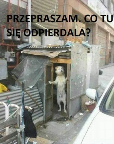 a.....1 - @Rimfire: Nie wiem o co chodzi.