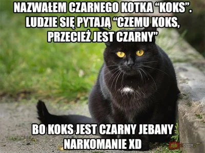 hvgbbbjbvkjhgtkkkkkkkkkk - #heheszki 
#humorobrazkowy