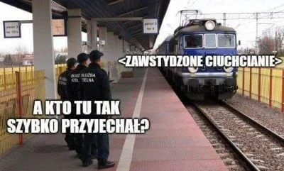 JestemNocnymMirkiem - Mój ulubiony kolejowy mem #heheszki #humorobrazkowy #pkp