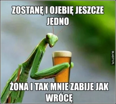 Czimchik - @Kolejna_roz0wa: .