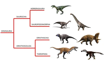 orkako - #gruparatowaniapoziomu #nauka #dinozaury #paleontologia



W 2017 roku p...