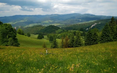 Flyhaba - 848753 - 44 = 848709

Szczawnica - Przehyba - Radziejowa - Małe Pieniny -...