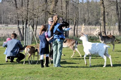 fuuYeah - Polecam odwiedzić park dzikich zwierząt w Kadzidłowie niedaleko Mikołajek. ...