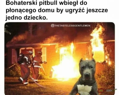 SpokojnyLudzik