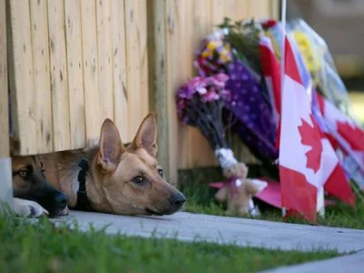 Marro - Psy czekające na Nathana Cirillo, który zginął na skutek odniesionych ran w z...