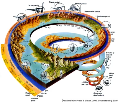 frytex2 - Gdyby ktoś nie wiedział o co chodzi. "m.y." to millions of years/miliony la...