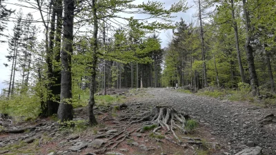 WuDwaKa - Trochę smuci taki widok drzew ( ͡° ʖ̯ ͡°)
#gory #ustron #czantoria #natura ...