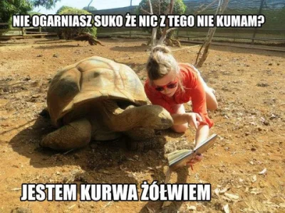 Grubas - #smiesznypiesek 

#humorobrazkowy