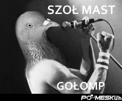 Colek - #golomp #heheszki
