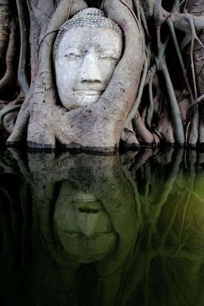 Montago - Posąg Buddy pochłonięty przez drzewo z lasu namorzynowego... 

 Ayutthaya ...