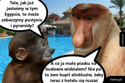 barteek2313 - #nosaczsundajski #nosacz #polak #heheszki #humorobrazkowy