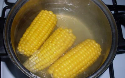 mroz3 - omnomnom bardzo lubię gotowaną kukurydzę

foto nie moje

#jedzenie #jedzz...