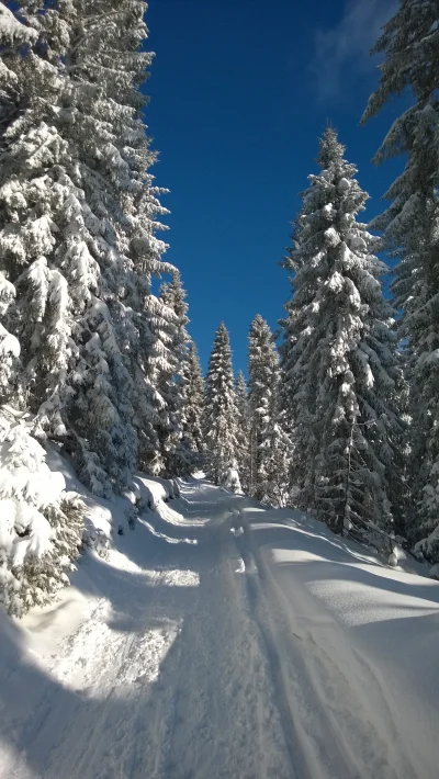 kajtom - A Wy jak spędziliście to piękne święto? ( ͡° ͜ʖ ͡°)

#gory #narty #skitury