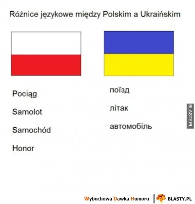 Fushin - #bekazpodludzi #ukraina #polityka #heheszki #hahardkor #realnyhumor