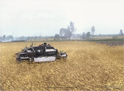 wojna - Niemiecki niszczyciel czołgów Sturmgeschütz III (wer. D) w polu pszenicy, fro...
