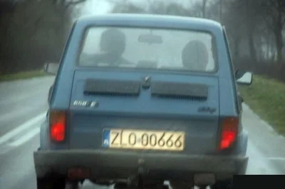 W.....a - @oddawaj_kasztana: